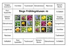 Bingo-Frühlingsblüten-10.pdf